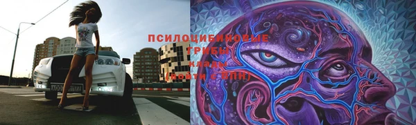 марки lsd Богородск