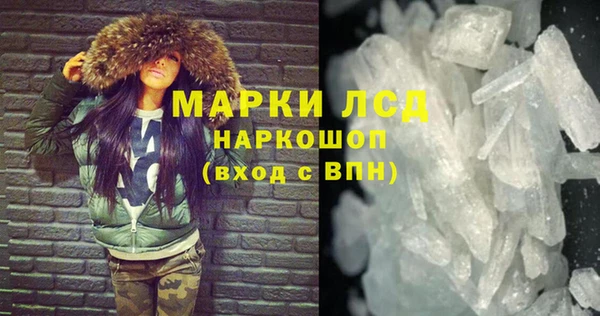ПСИЛОЦИБИНОВЫЕ ГРИБЫ Богданович
