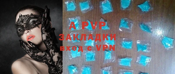 ПСИЛОЦИБИНОВЫЕ ГРИБЫ Богданович
